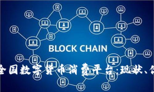 全面解析全国数字货币消费平台：现状、优势与前景