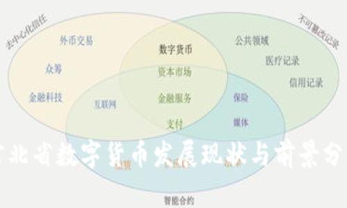 河北省数字货币发展现状与前景分析