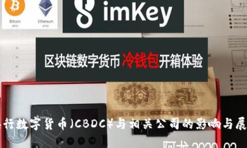 央行数字货币（CBDC）与相关公司的影响与展望