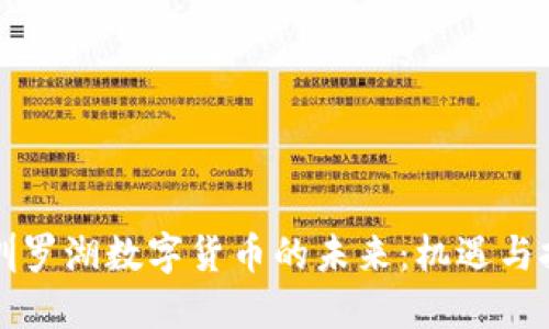 深圳罗湖数字货币的未来：机遇与挑战