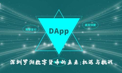 深圳罗湖数字货币的未来：机遇与挑战