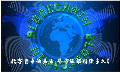数字货币的未来：牛市还能持续多久？