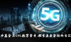 桥水基金与CNL数字货币：