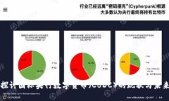 深入探讨国际央行数字货