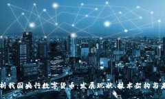 全面解析我国央行数字货