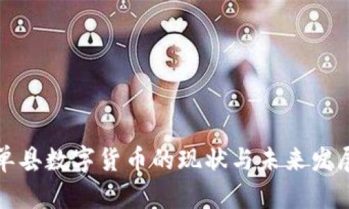 单县数字货币的现状与未来发展