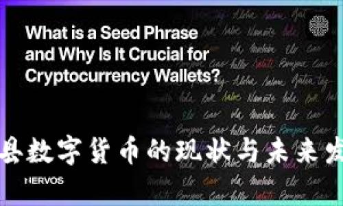 单县数字货币的现状与未来发展