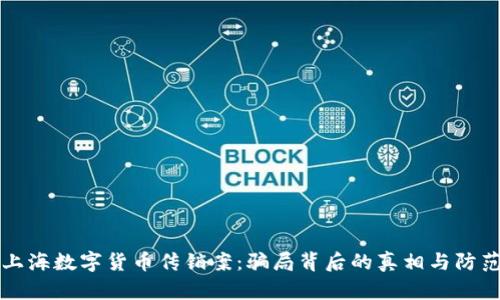 揭秘上海数字货币传销案：骗局背后的真相与防范指南