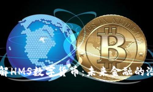 深入了解HMS数字货币：未来金融的潜在巨头