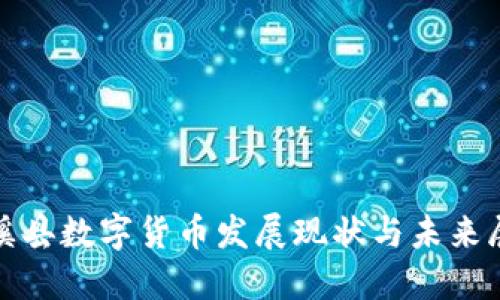 金溪县数字货币发展现状与未来展望