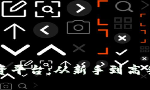数字货币投资平台：从新手到高手的全面指南
