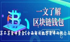 数字货币算不算货币资金