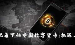 外国视角下的中国数字货