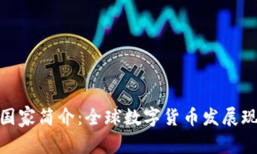 数字货币国家简介：全球数字货币发展现状与趋势