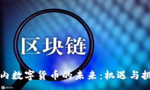 :
国内数字货币的未来：机遇与挑战