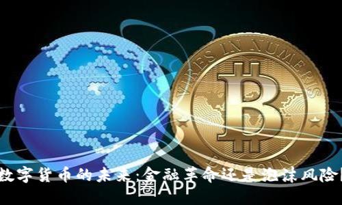 数字货币的未来：金融革命还是泡沫风险？