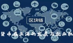 : 数字货币在上海的发展与就业机会详解