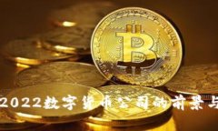 智利2022数字货币公司的前景与挑战