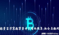 投资菲律宾数字货币公司